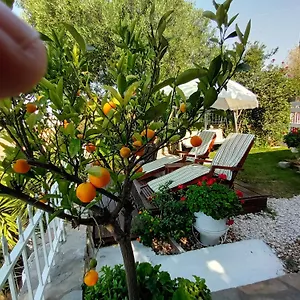 Nikos Stone House 80m From The With Wifi , Gerakini Griechenland